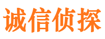 盘龙侦探公司